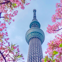 画像322